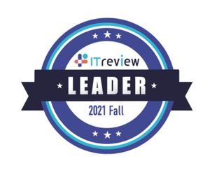 IT review MEOツールでleaderを獲得